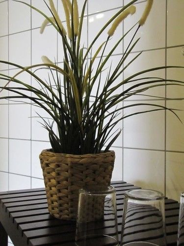 Pension Genat Wedemark Esterno foto